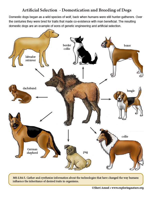 Pasted image 20250630134157.png